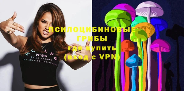 молекула духа Семилуки