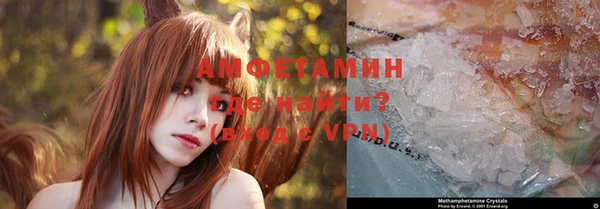 молекула духа Семилуки