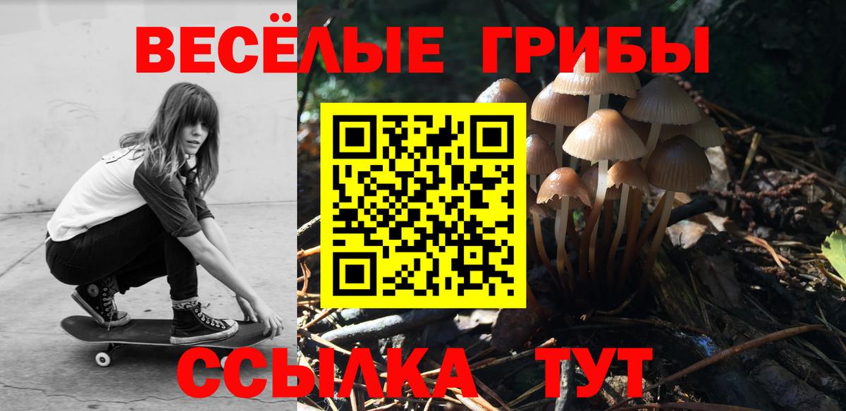 Псилоцибиновые грибы мицелий  Вход с VPN  наркота  Зеленогорск 